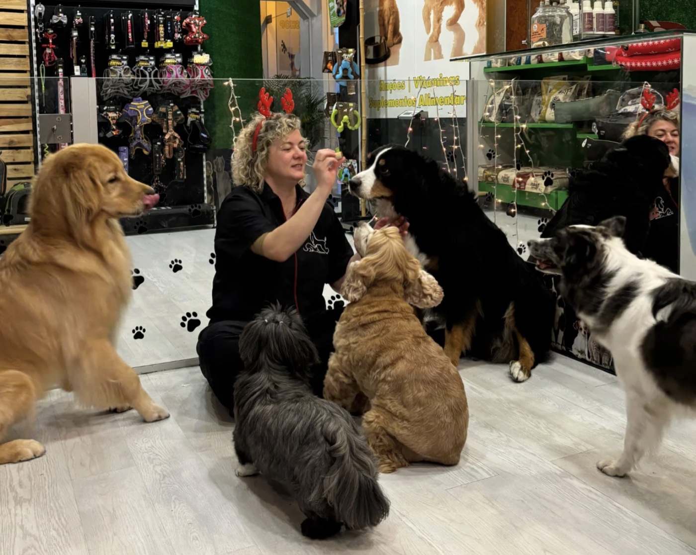 Equipa da Buddy's PetShop com os cães na loja